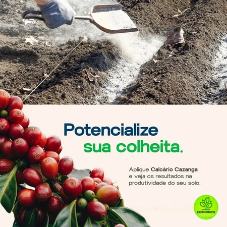 Calcário Agrícola Dolomítico Prnt 80% Fracionado Calcio e Magnésio Corretor De Solo Hortaliças Flores Rosas do Deserto G